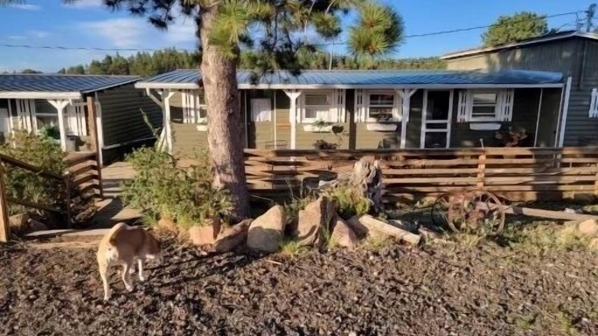 Red Feather Lakes Cabin | Relaxing Cabin in the heart of Red Feather Lakes!