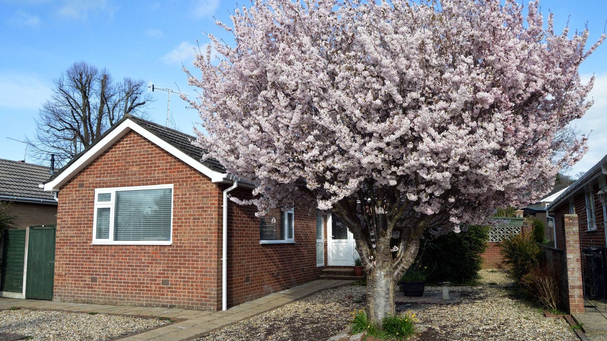 Wimborne House | Relaxing, Comfortable Bungalow a Short Walk From Wimborne Minster