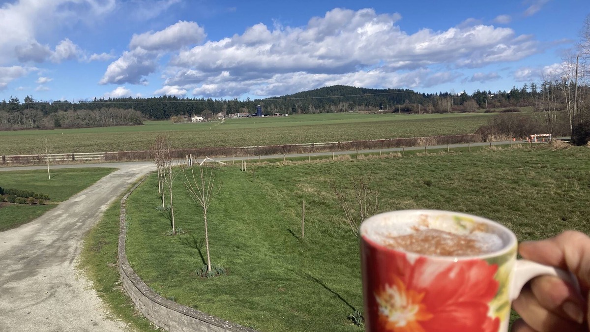 North Saanich House | Relaxing Country Retreat close to all amenities. Great for the whole family!