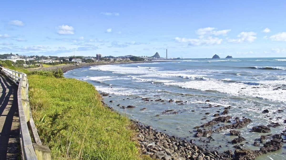 New Plymouth House | Relaxing Townhouse in New Plymouth
