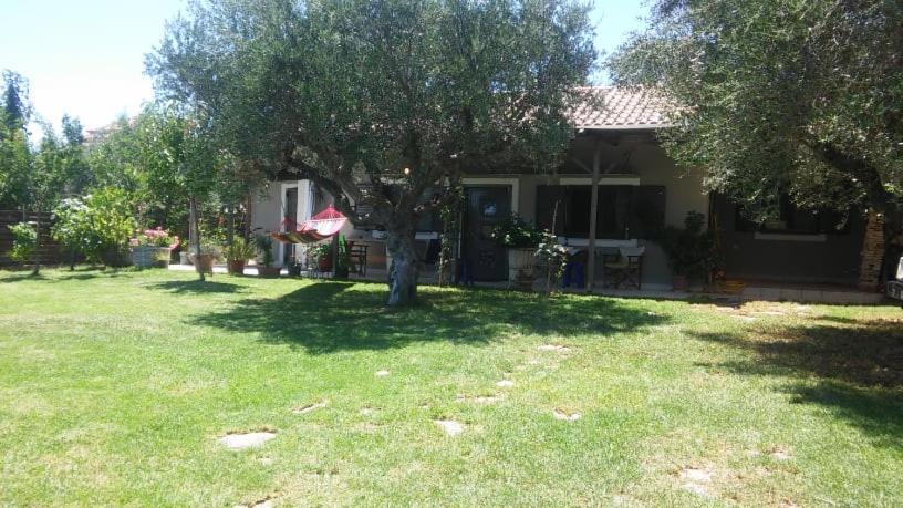 Messini House | Relaxing Vila at Avramio village