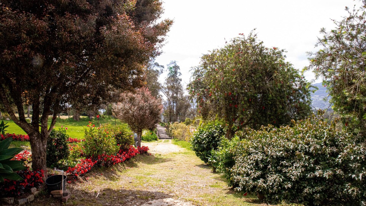 Pacho Cottage | Remodelled Cosy House in the Country Side Stunning Mountain View - Close to City