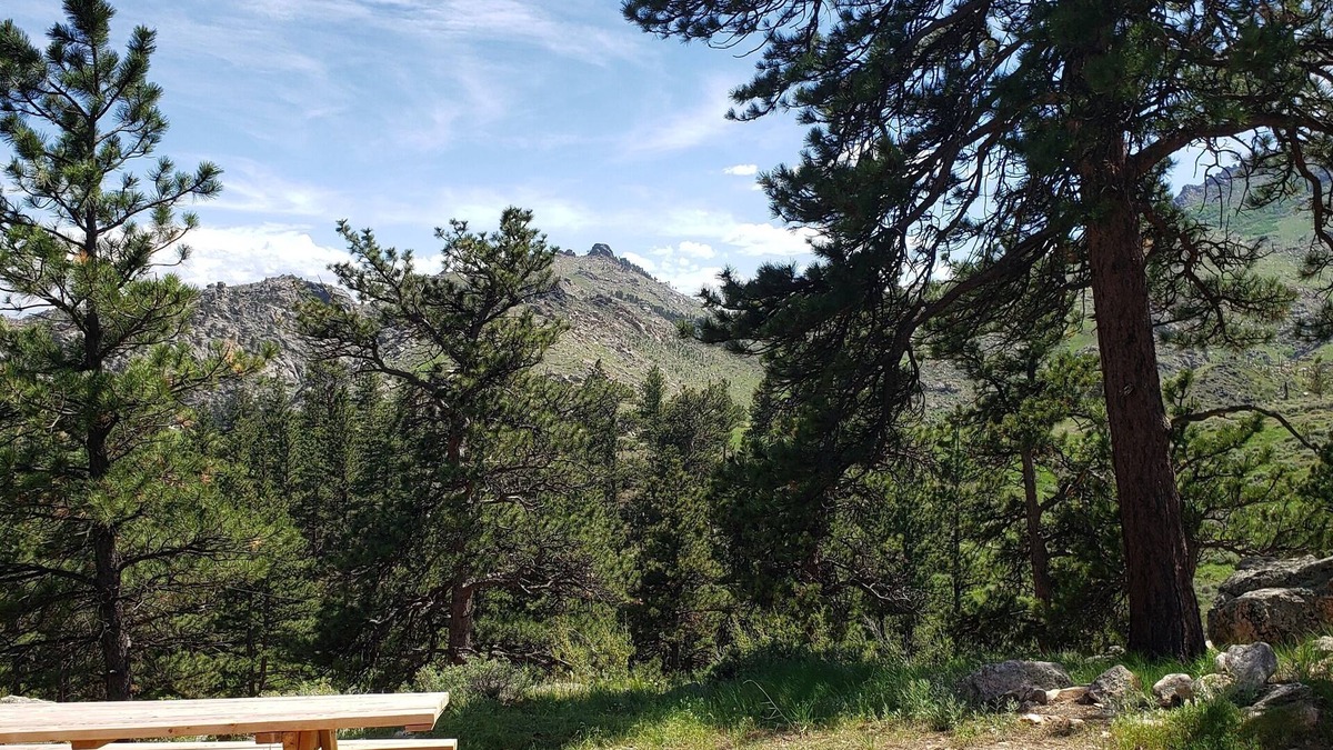 Wheatland Cabin | Remote peaceful cabin, great wildlife viewing, hunting and fishing close by