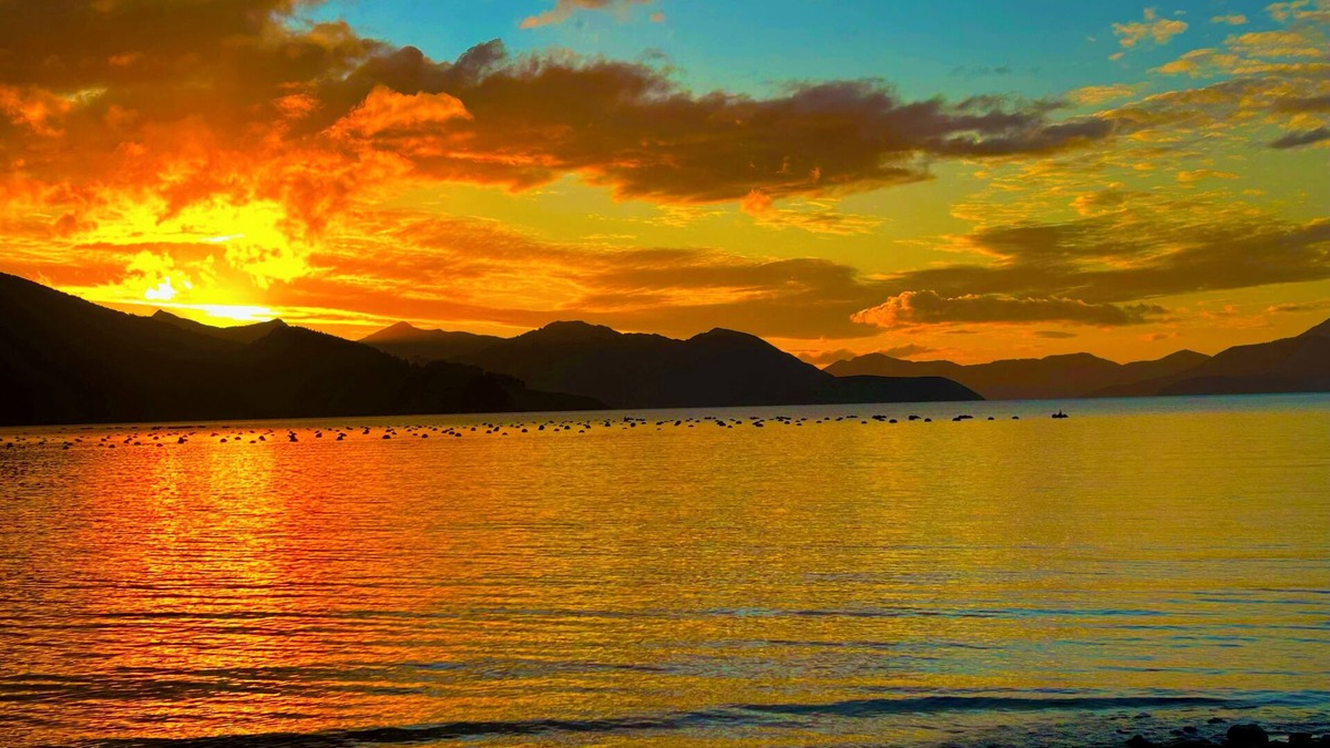 Saint Omer House | Remote Pelorus Sound Kiwi Bach on the Beach with Great Views