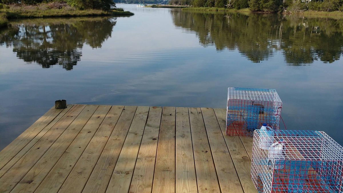 Hacksneck House | Remote/Secluded Estate with Plenty of Crabs, Dock and Cooking Station