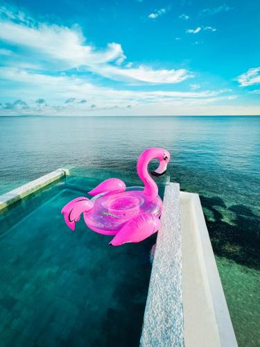 Sulawesi Cabin | Renjana Beach House