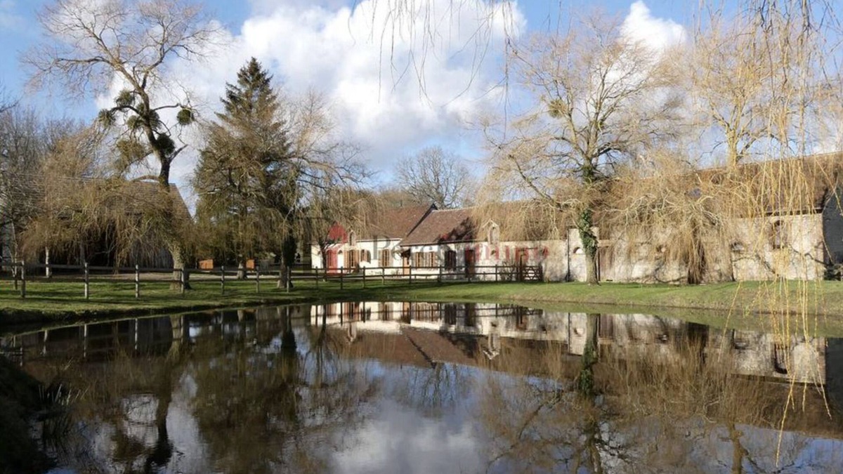 Saint-Julien-sur-Sarthe Other | Renovated Perche farmhouse in the countryside. Ideal for friends/family (=> 20 pers.)