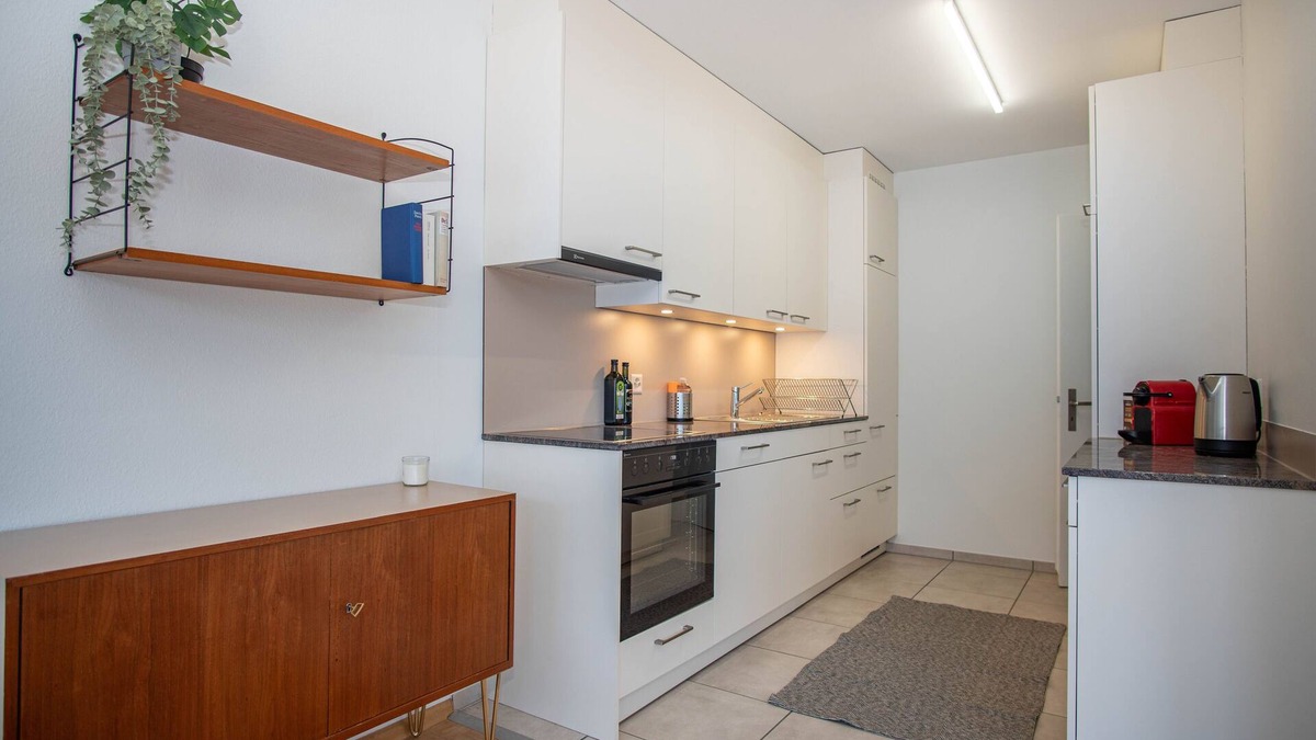 Vorstadte Apartment | Renovated Designer Studio in Central Basel with free BaselCard