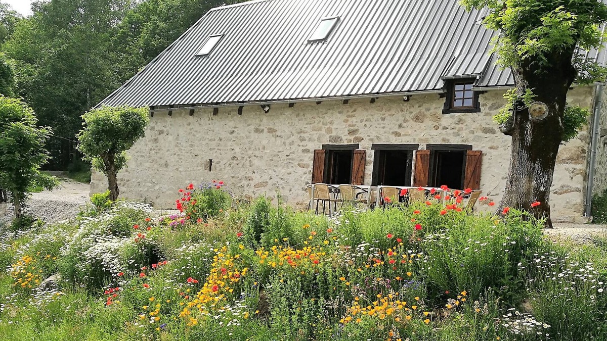 Champs-sur-Tarentaine-Marchal House | Renovated farmhouse between woods and meadows