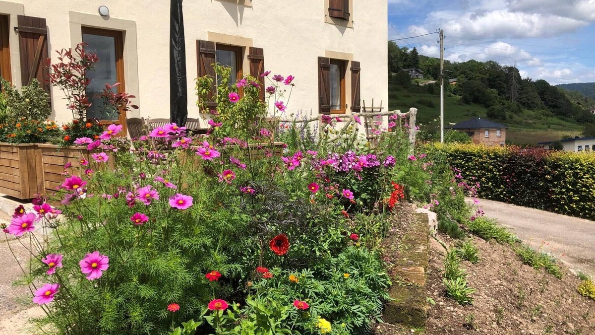 Saint-Nabord Apartment | Renovated house near Vosges, ideal for outdoor activities