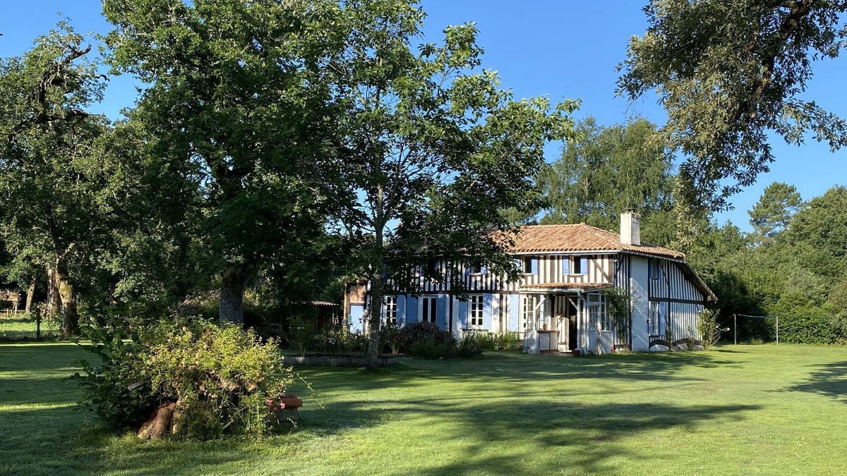 Luxey House | Renovated Landaise farmhouse on a 4000m2 airial with swimming pool and outbuildings