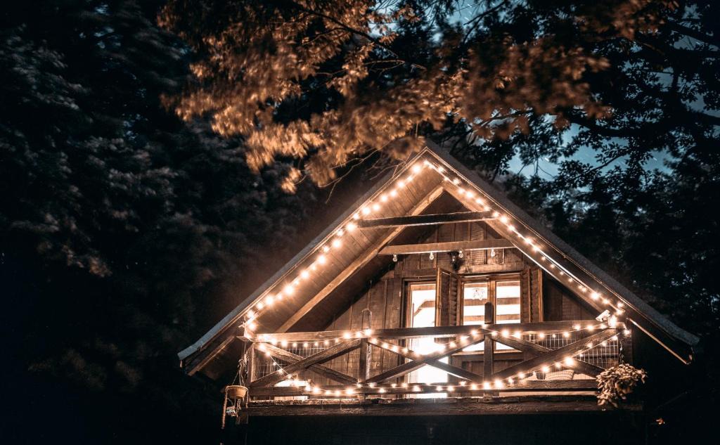Petrovaradin Ski Chalet | Rent a Forest, Cabin Hidden in the Fruška gora