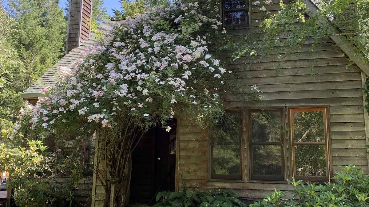 Willits House | Rent a Private Park and Wildlife Preserve
