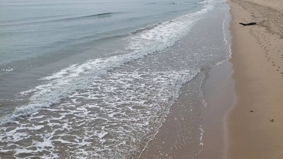 Sveti Vlas House | Rent Apartment by the sea in Bulgaria, Sveti Vlas, Fort Noks Prestige