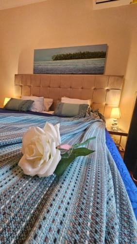 Palaio Faliro Apartment | Rent apartment near sea in the Athens Center