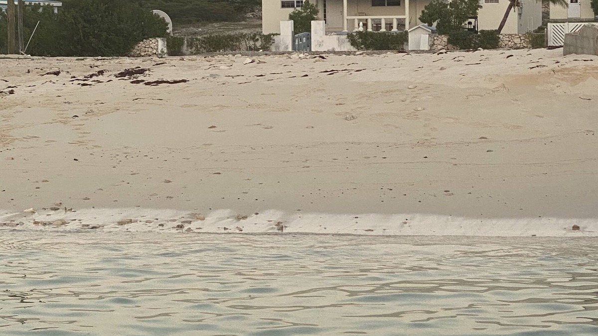 North District House | Rent the entire updated house- walk to dive shop, beach! Bright and breezy!