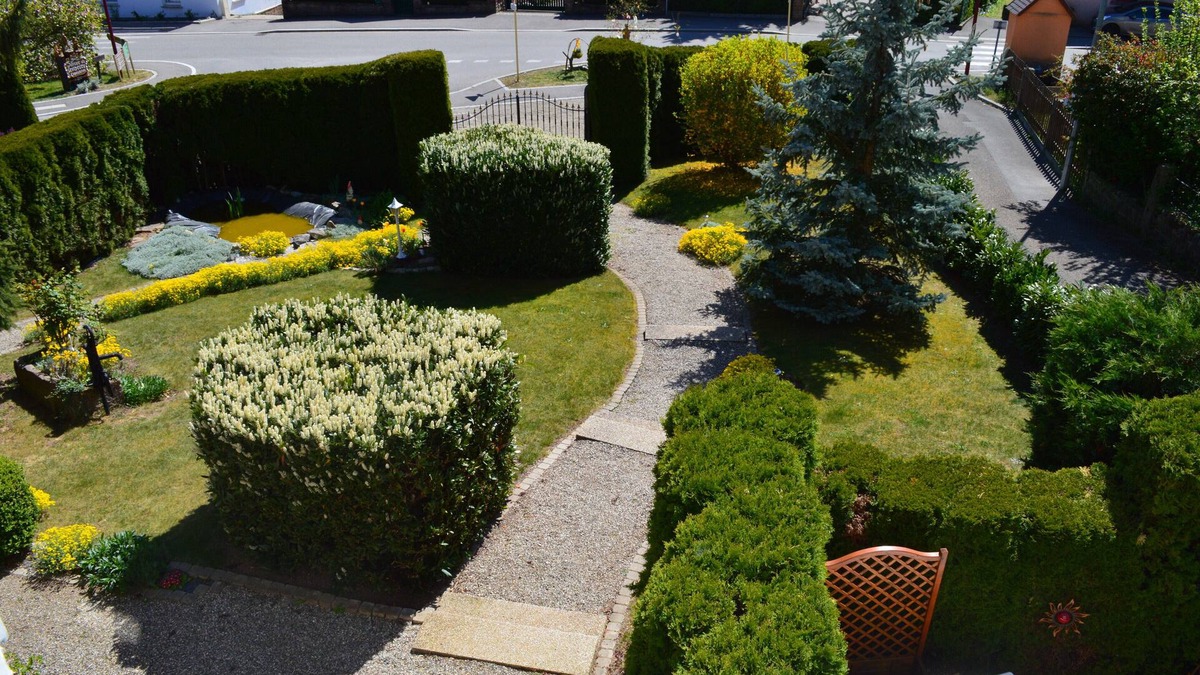 Thannenkirch Apartment | Rental 3 * in the heart of Alsace on the Wine Route