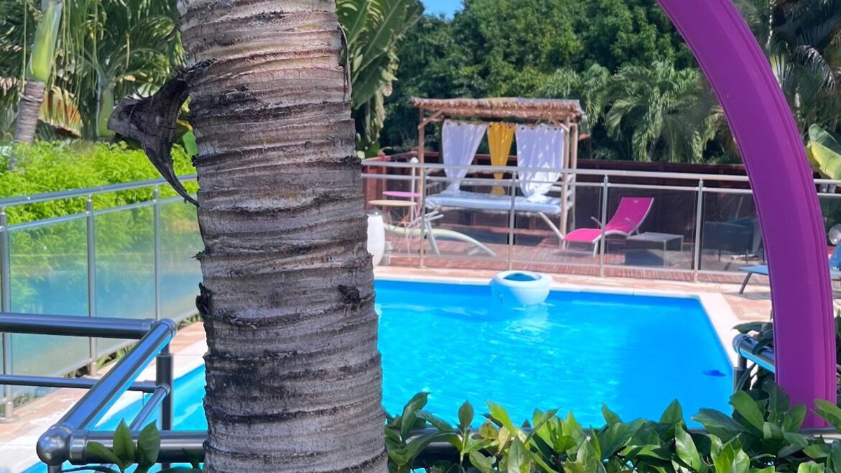 Anse-Bertrand House | RENTAL 4 PERSONS SEA VIEW/POOL 🌴