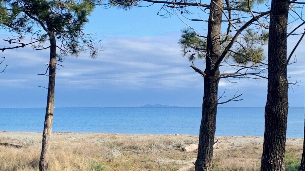 Pineto Condo | RENTAL - all year round Plage de la Marana Borgo