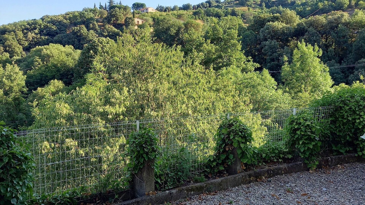 Reynes Apartment | Rental apartment near CERET
