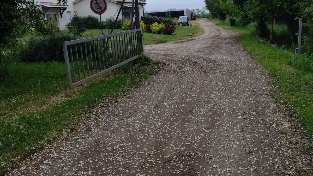 Sainte-Livrade-sur-Lot House | Rental in the countryside for 2 people, from €57 per night