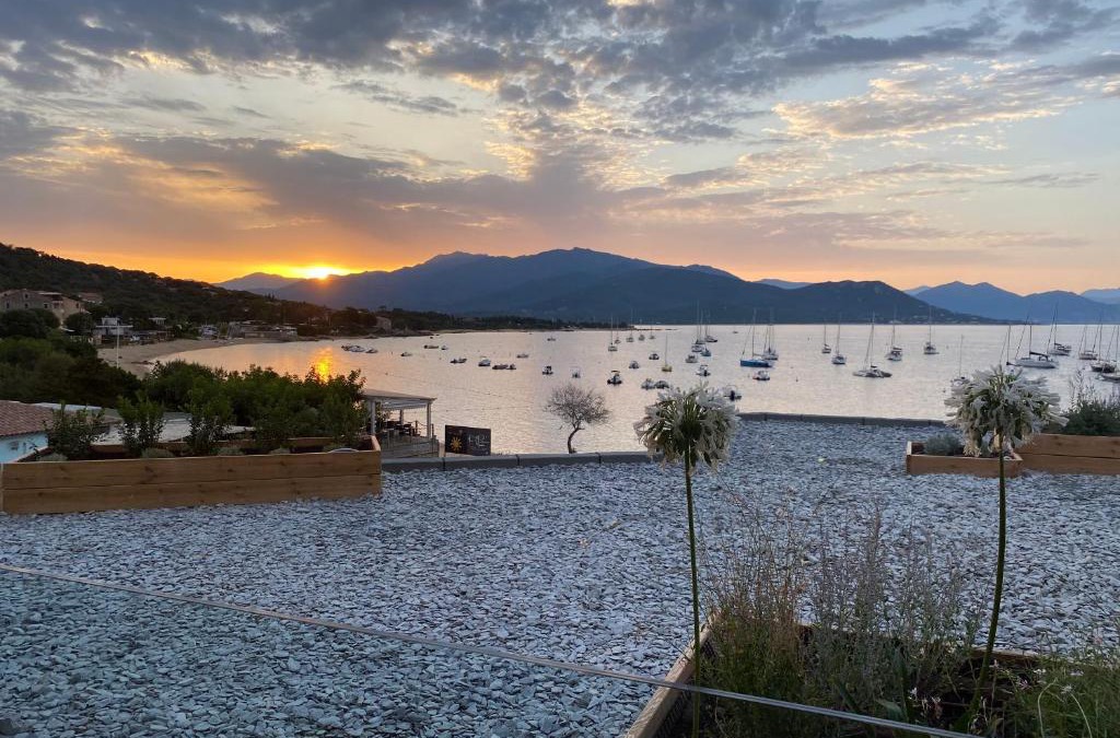 Porto Pollo Apartment | Residence Capriona