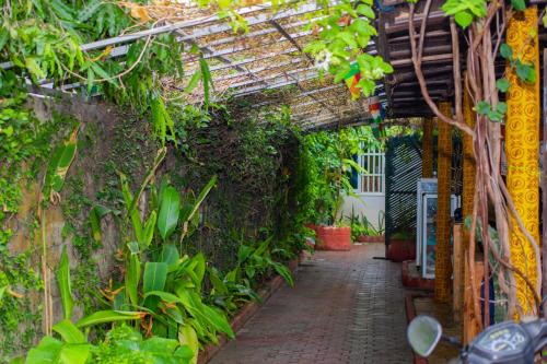 Littoral Department Hotel | Residence Ivoire Cotonou