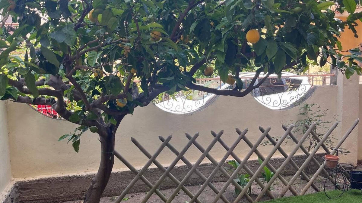 San Giorgio Apartment | Residence la Tonnara