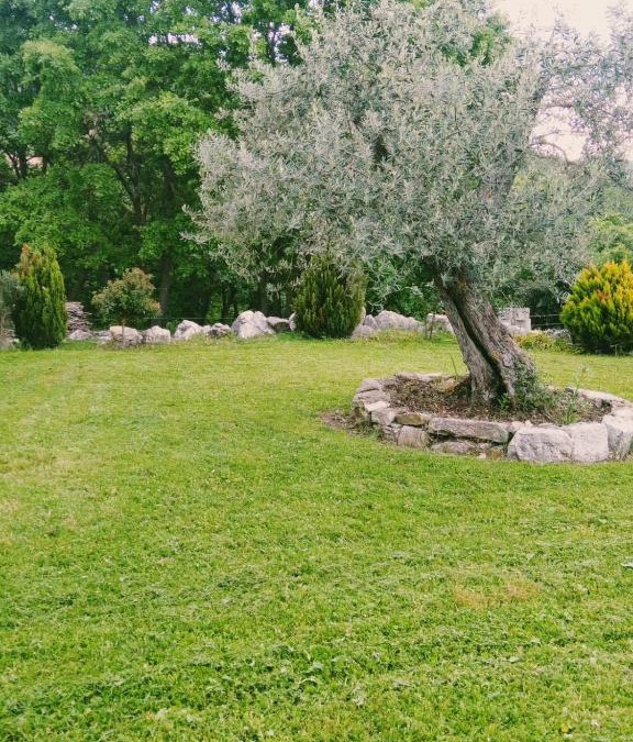 Busso Apartment | Residence San Martino