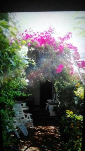 Vulcano Porto House | Residence Vulcano Cottage