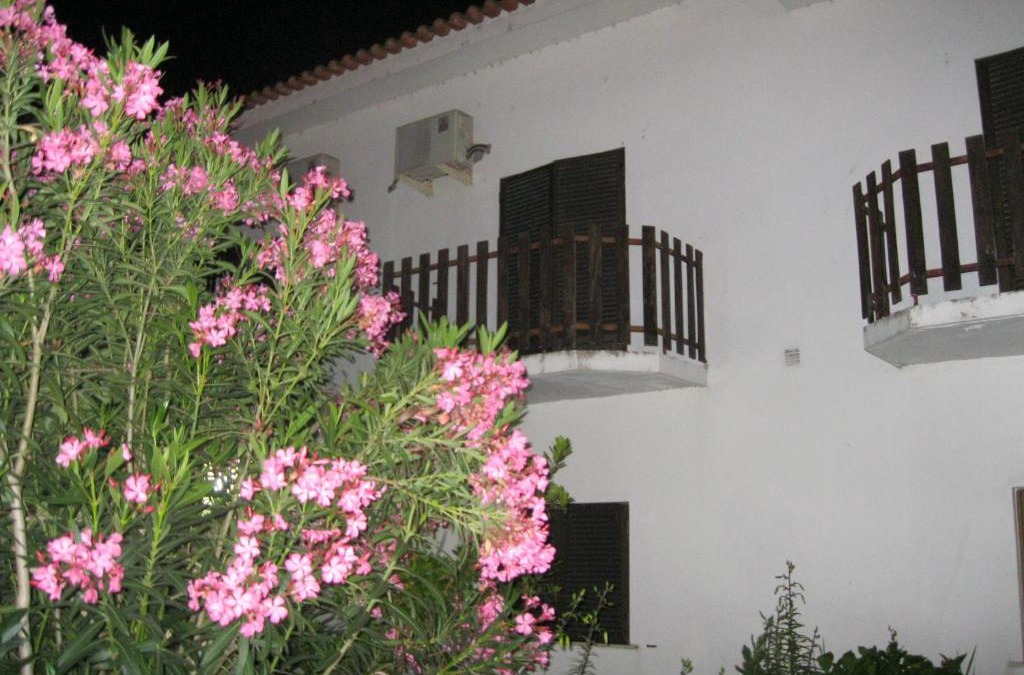 Almeida House | Residencial Morgado