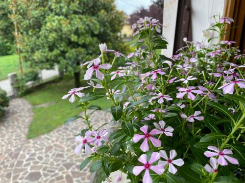 Pieve di Soligo House | Residenza 38