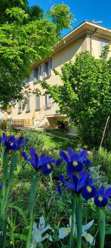 Mornico Losana Apartment | Residenza Rosmarino CASA GUARNONE
