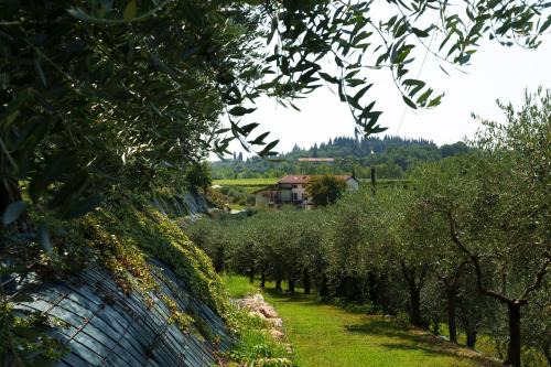 Bussolengo Bed & Breakfast | Residenza Vesentini