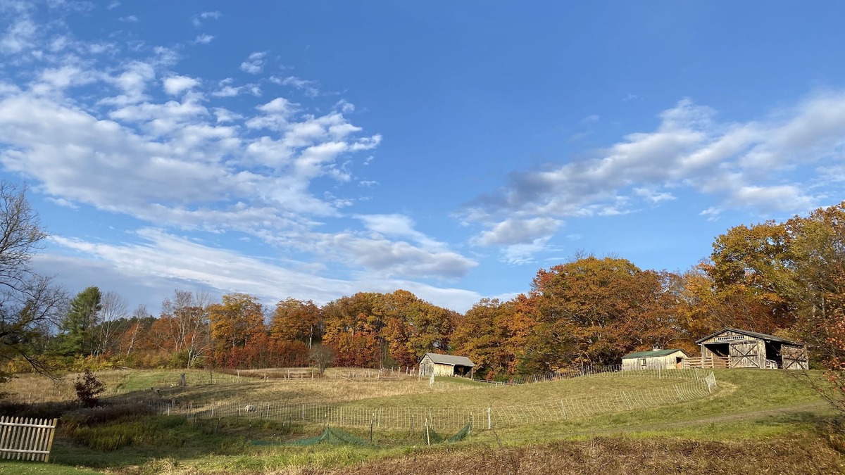 Norwich House | Resort on a Farm