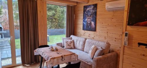 Jelesnia Apartment | Resort Rykowisko DeLuxe No 3