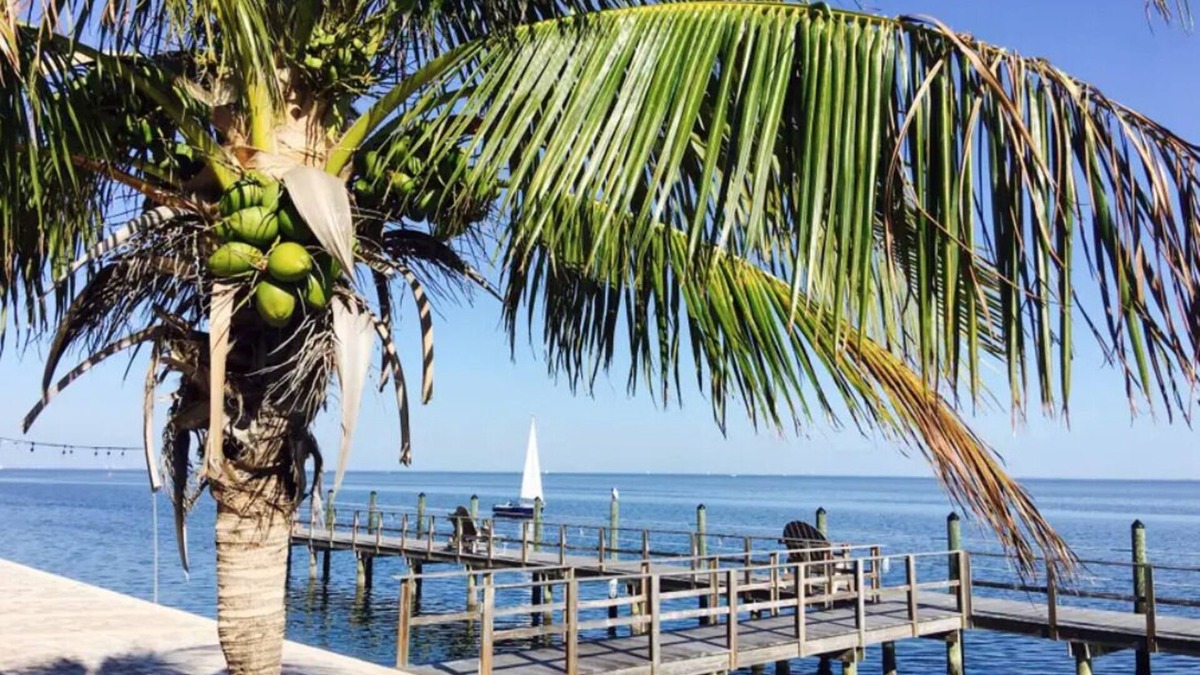 Coquina Key Condo | Resort style Luxury condo on the waterfront with private patio overlooking bay.