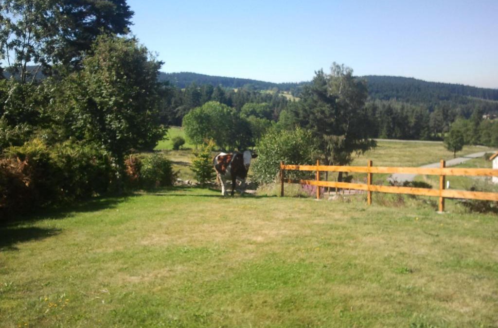 Saint-Regis-du-Coin Apartment | Ressourcez vous en pleine nature!