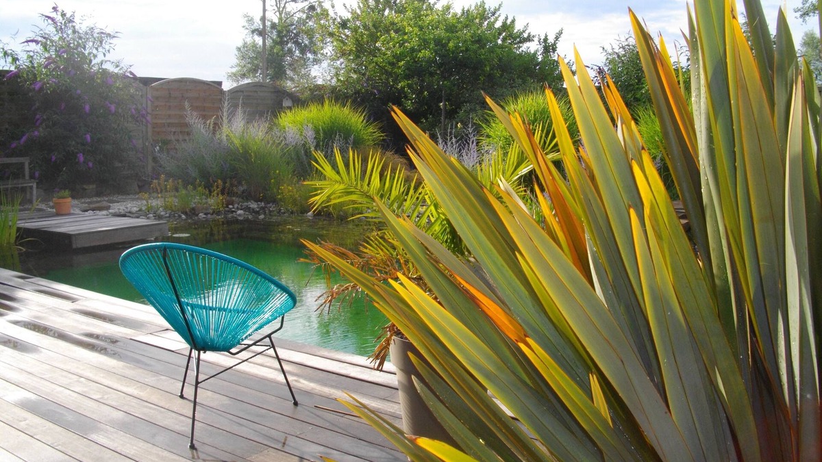 La Fresnais House | "Rest and relaxation" Gite * at the edge of a natural pool