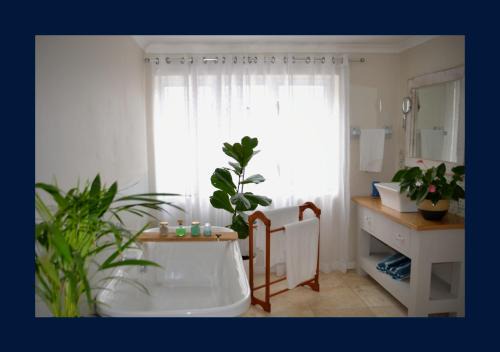 Franskraal Apartment | Rest and Sea Self-catering - The perfect family or couples getaway to relax and refresh