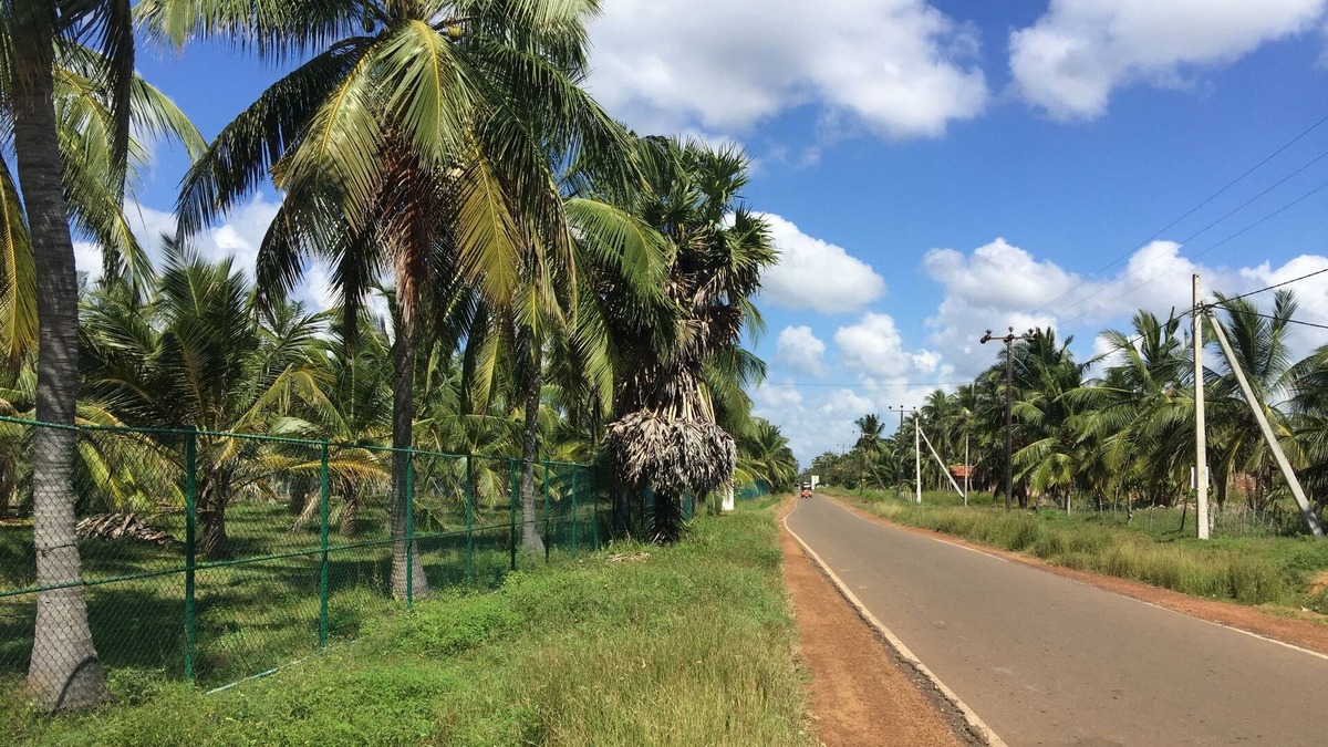 Mundalama Villa | Rest in paradise