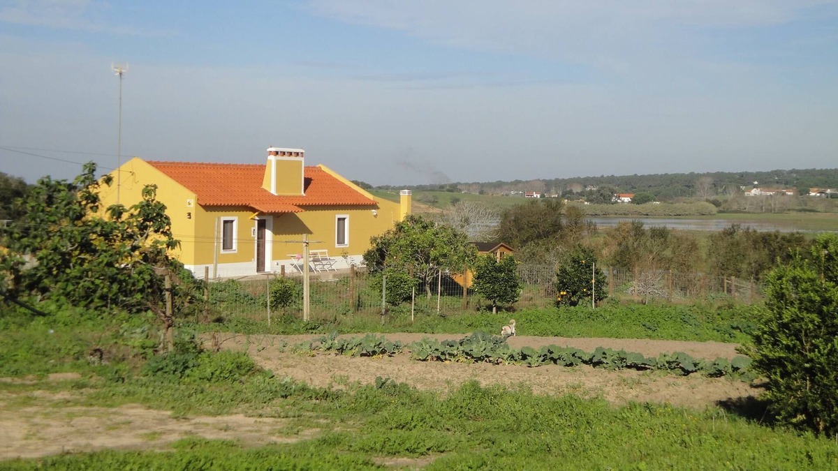 Aldeia de Brescos Cottage | Rest, rest, fresh air. The ideal holiday with family or group of friends