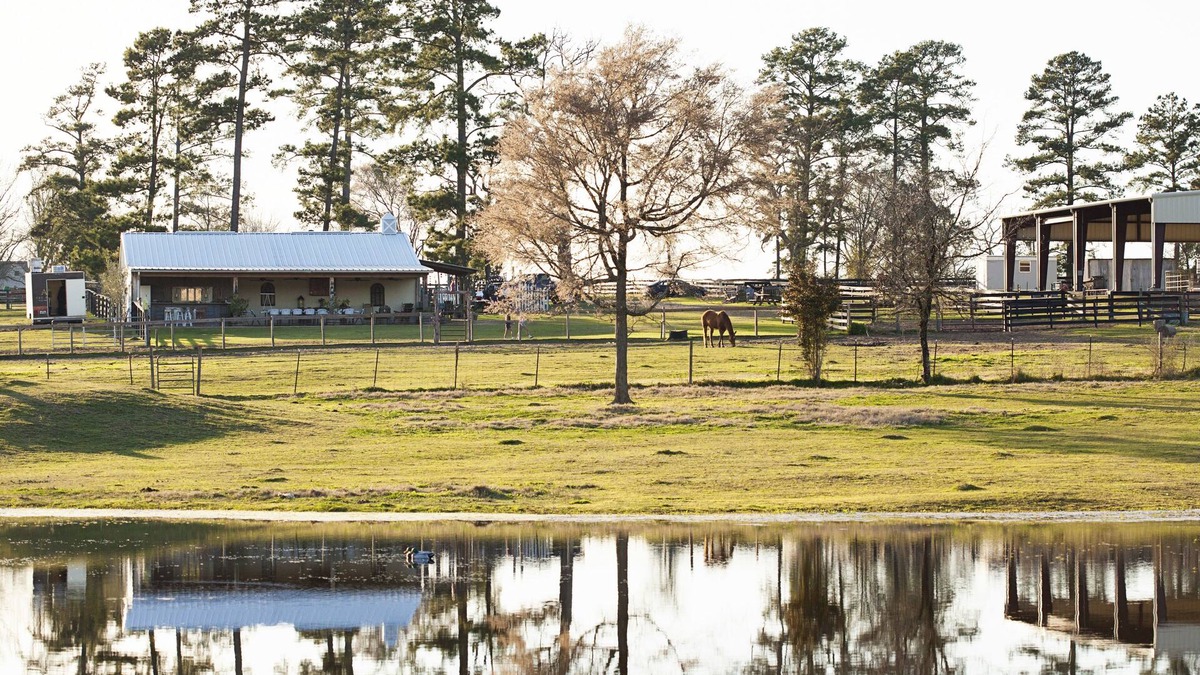 Montgomery County House | Rest + Restore. Family-friendly ranch getaway, including fur babies!nn