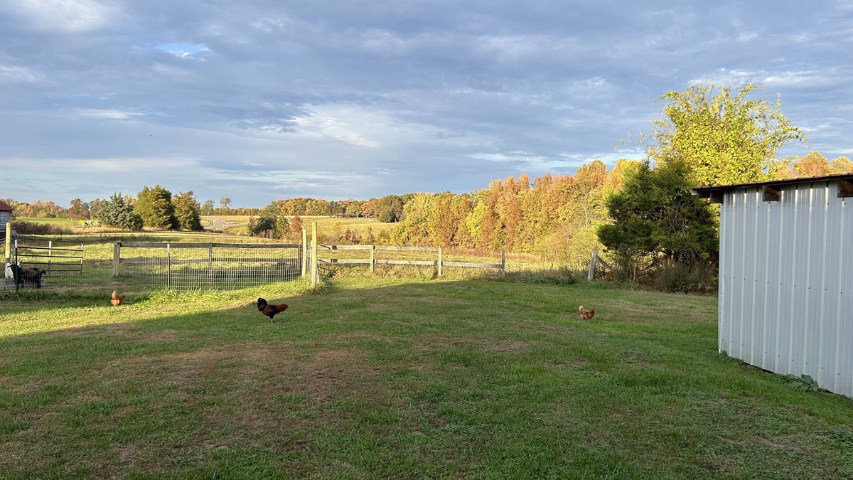 Pamplin Cottage | Restful new cottage facing woods and paths near historic sites & biking trails
