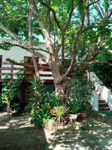 Mowbray House | Restful Tree House in Little Mowbray