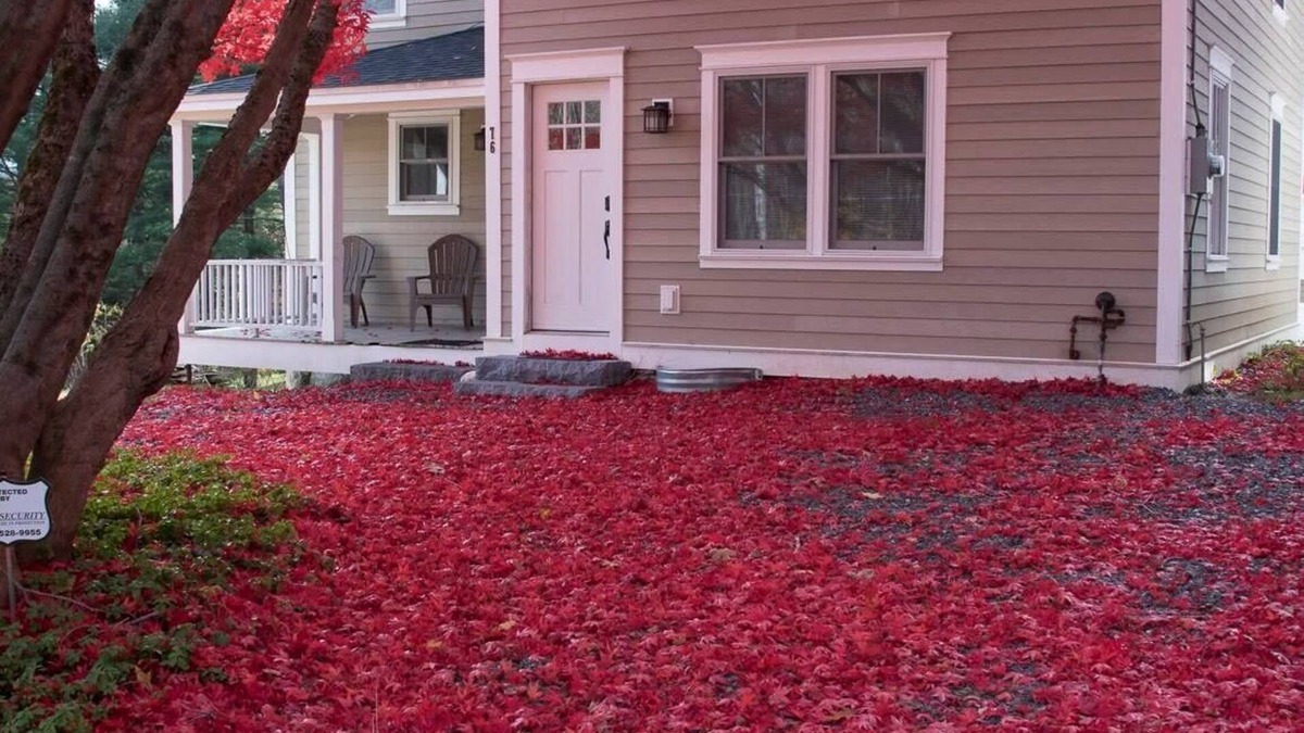 Lenox House | Restored 1881 Farm House
