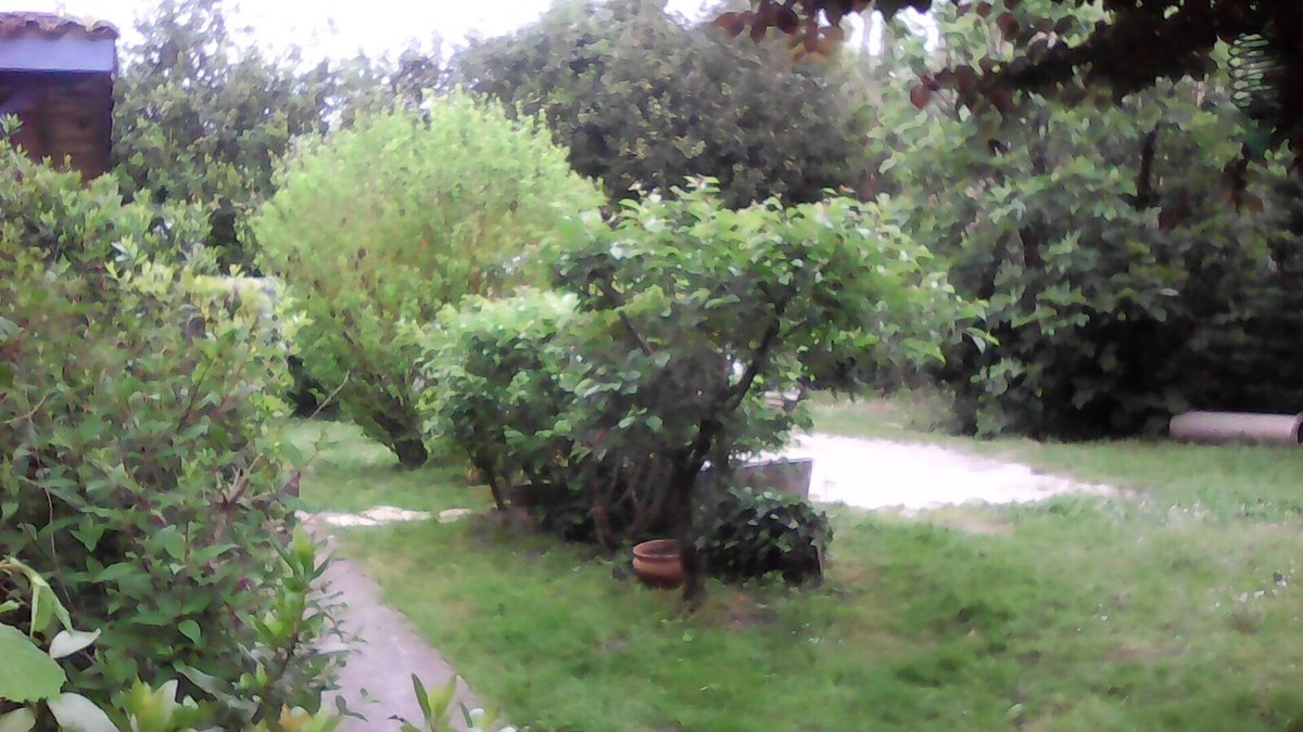 Jau-Dignac-et-Loirac House | Restored country house, in the spirit "Countryside" Charm "