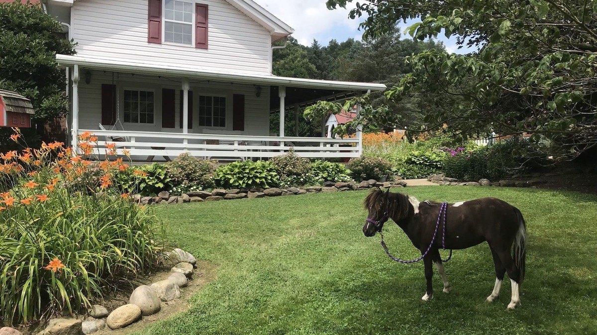 Perrysville Other | Restored Historical Farmhouse With Pond And Farm Animals At Mohican State Park