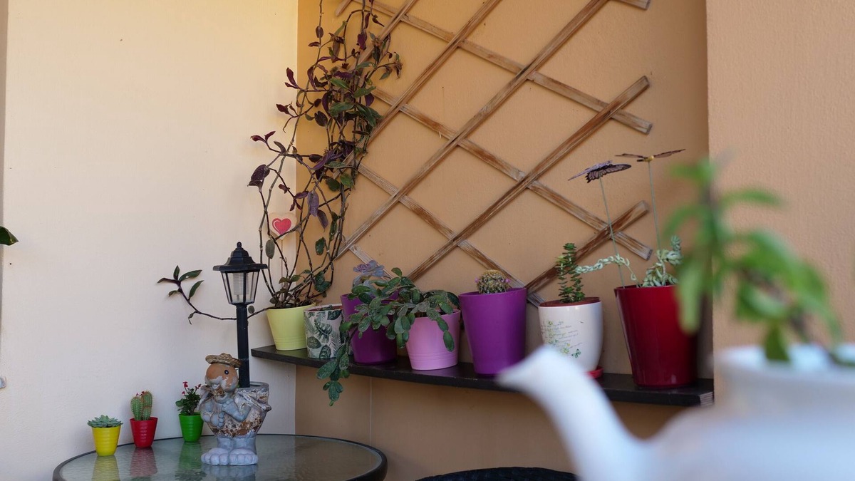 Pigi House | Rethymmno Bella House
