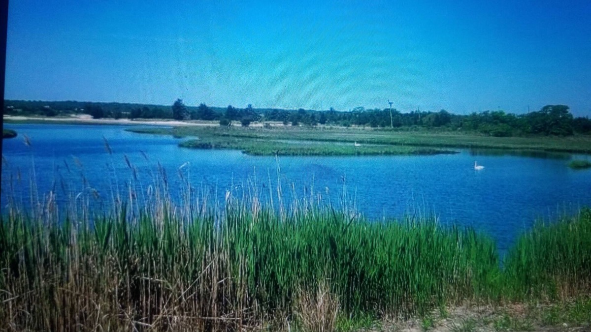 Springs House | Rex- East Hampton Cottage- 5 stars